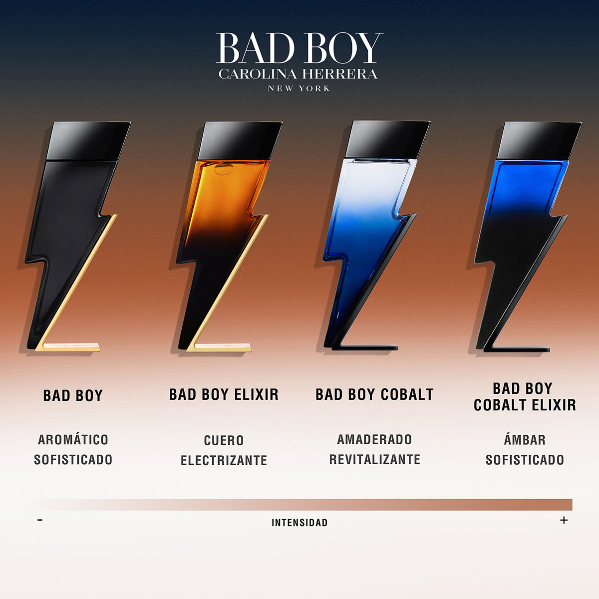BAD BOY ELIXIR SET EAU DE PARFUM